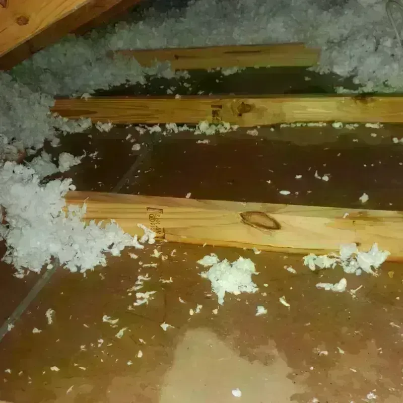 Attic Water Damage in Libertyville, IL