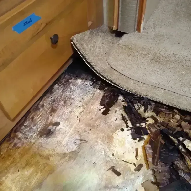 Wood Floor Water Damage in Libertyville, IL